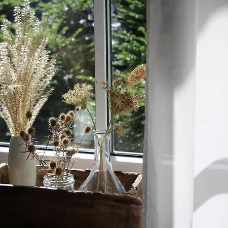 Ferienhaus Jule *